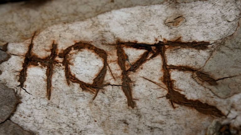 Uplifting Bible Verses About Hope