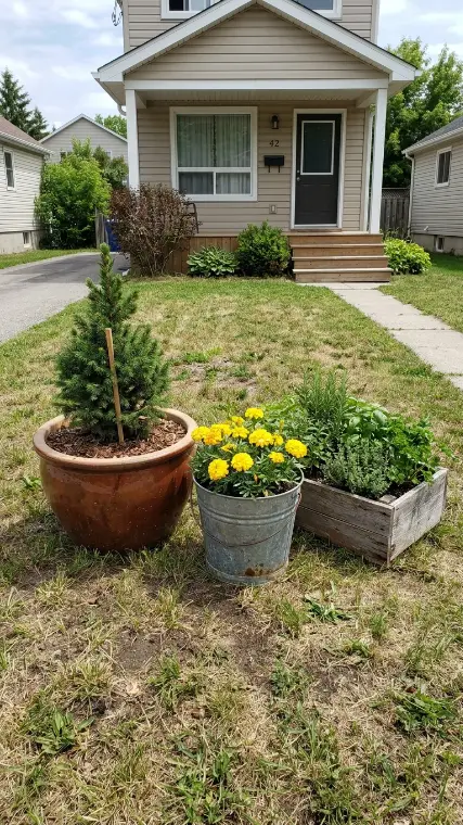 9 Simple Landscaping Front Yard Rental Ideas